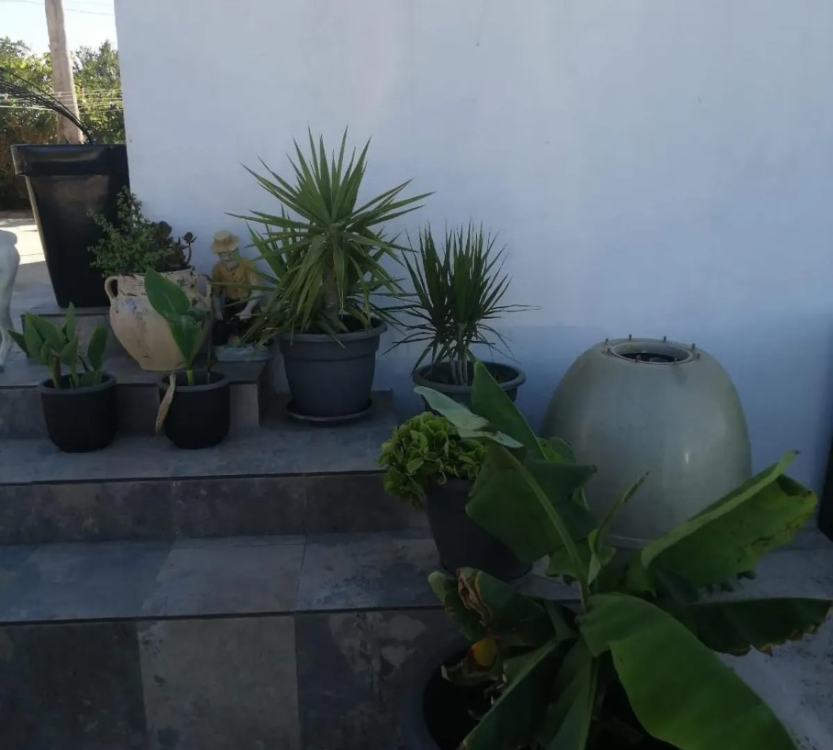 Finca Laxuan Cádiz